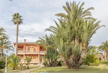 Detached villa with a large garden and private pool in Lexington Realty