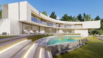 Luxury design villa in Lexington Realty