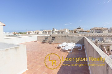 First floor corner apartment with roof terrace and community pool in Lexington Realty
