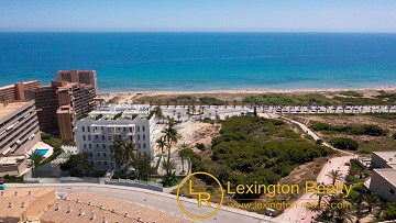 New modern apartments with sea view and close to the beach in Lexington Realty